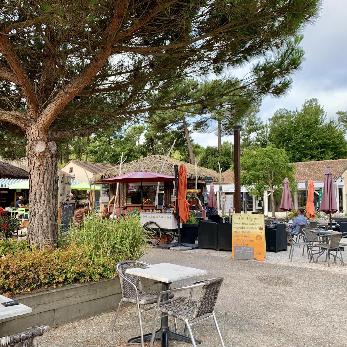 La Cygogne